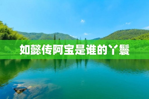 如懿传阿宝是谁的丫鬟