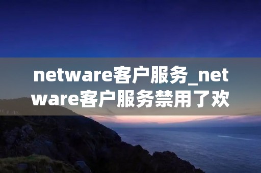 netware客户服务_netware客户服务禁用了欢迎屏幕和快速用户切换 netware客户服务_netware客户服务禁用了欢迎屏幕和快速用户切换