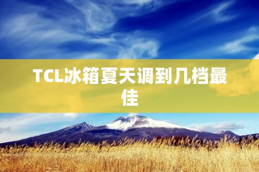 TCL冰箱夏天调到几档最佳:如何合理设置温度以保证食物的新鲜度和节能效果? TCL冰箱夏天调到几档最佳:如何合理设置温度以保证食物的新鲜度和节能效果?