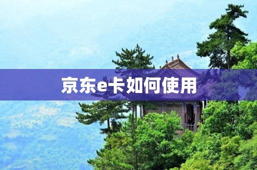 京东e卡如何使用 京东e卡如何使用