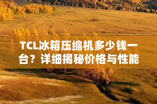 TCL冰箱压缩机多少钱一台？详细揭秘价格与性能特点！