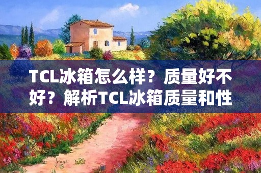 TCL冰箱怎么样?质量好不好?解析TCL冰箱质量和性能优势 TCL冰箱怎么样?质量好不好?解析TCL冰箱质量和性能优势