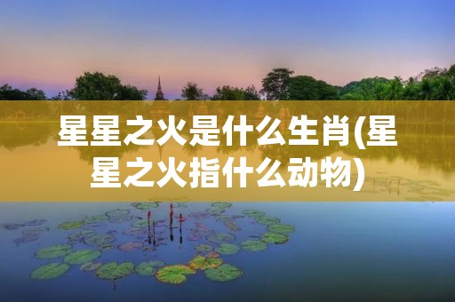 星星之火是什么生肖(星星之火指什么动物) 星星之火是什么生肖(星星之火指什么动物)
