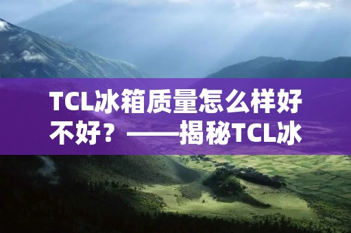 TCL冰箱质量怎么样好不好?——揭秘TCL冰箱的品质与性能 TCL冰箱质量怎么样好不好?——揭秘TCL冰箱的品质与性能