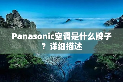 Panasonic空调是什么牌子？详细描述：