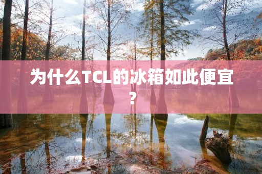 为什么TCL的冰箱如此便宜? 为什么TCL的冰箱如此便宜?