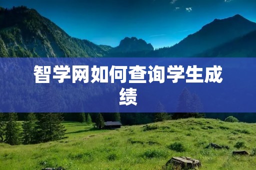 智学网如何查询学生成绩