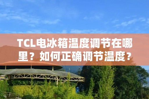 TCL电冰箱温度调节在哪里？如何正确调节温度？
