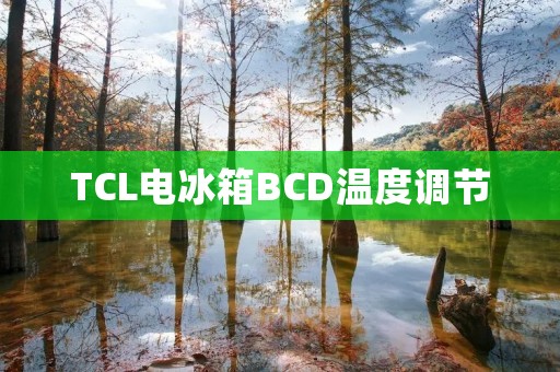TCL电冰箱BCD温度调节:打造理想冷藏环境 TCL电冰箱BCD温度调节:打造理想冷藏环境