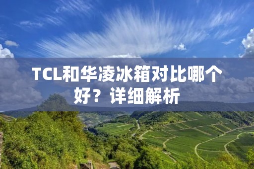 TCL和华凌冰箱对比哪个好?详细解析