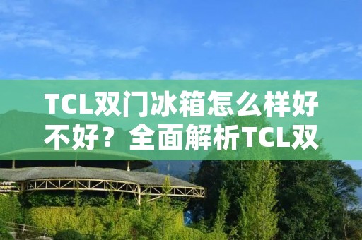 TCL双门冰箱怎么样好不好?全面解析TCL双门冰箱的优势与特点 TCL双门冰箱怎么样好不好?全面解析TCL双门冰箱的优势与特点
