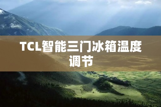 TCL智能三门冰箱温度调节：为您打造完美保鲜环境
