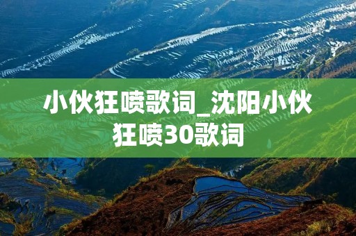 小伙狂喷歌词_沈阳小伙狂喷30歌词