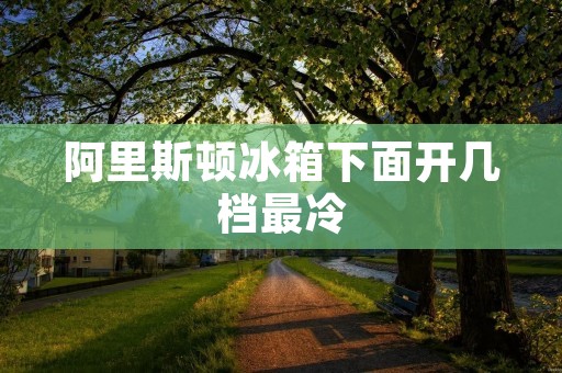 阿里斯顿冰箱下面开几档最冷：详细解析