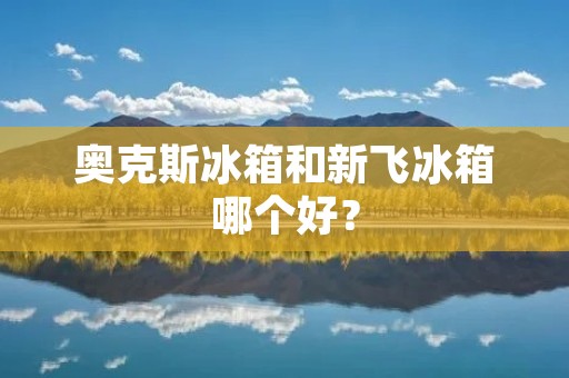 奥克斯冰箱和新飞冰箱哪个好? 奥克斯冰箱和新飞冰箱哪个好?