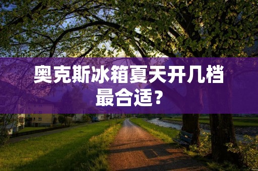 奥克斯冰箱夏天开几档最合适？