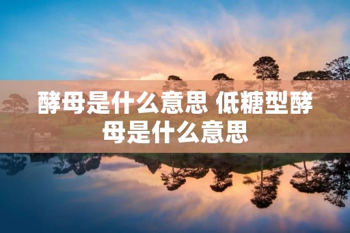 酵母是什么意思 低糖型酵母是什么意思