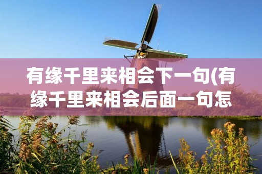 有缘千里来相会下一句(有缘千里来相会后面一句怎么说)