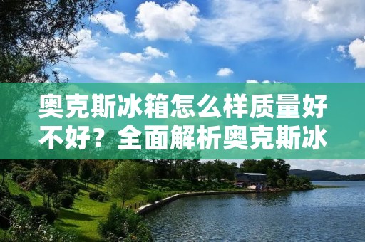 奥克斯冰箱怎么样质量好不好？全面解析奥克斯冰箱的品质与性能