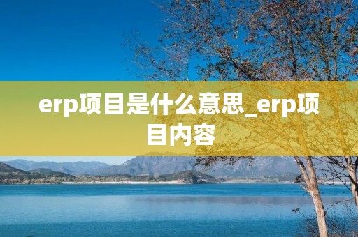 erp项目是什么意思_erp项目内容 erp项目是什么意思_erp项目内容