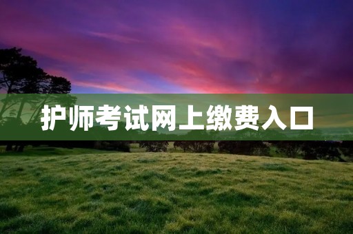 护师考试网上缴费入口：轻松便捷完成考试费用缴纳