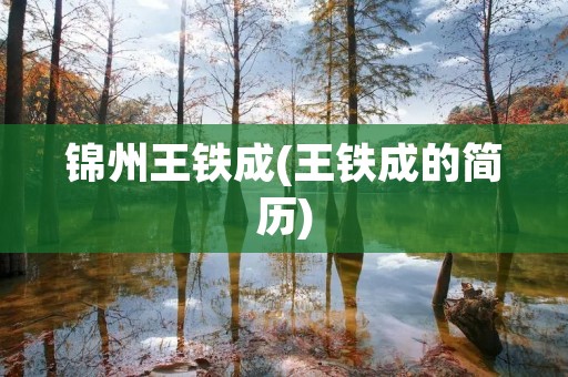 锦州王铁成(王铁成的简历)