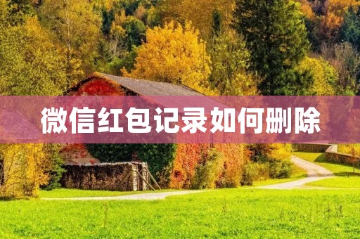 微信红包记录如何删除