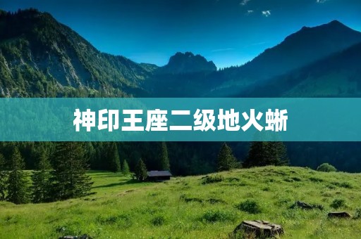神印王座二级地火蜥：探秘火焰中的神秘生物
