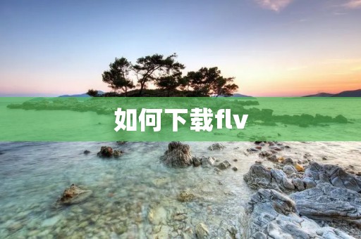 如何下载flv