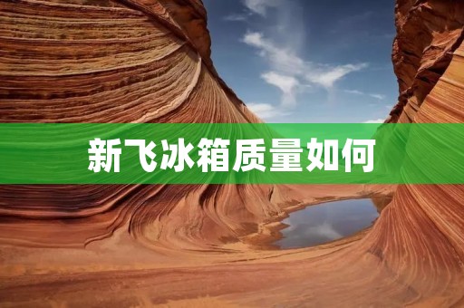 新飞冰箱质量如何