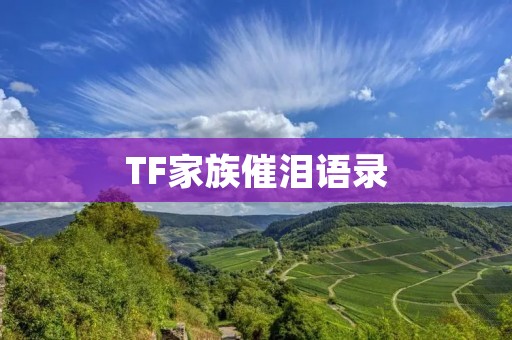 TF家族催泪语录:燃泪回忆与感动瞬间 TF家族催泪语录:燃泪回忆与感动瞬间