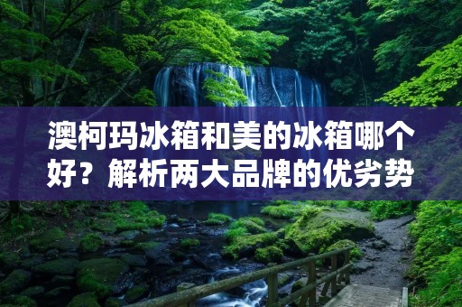 澳柯玛冰箱和美的冰箱哪个好?解析两大品牌的优劣势 澳柯玛冰箱和美的冰箱哪个好?解析两大品牌的优劣势