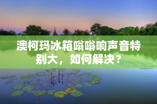 澳柯玛冰箱嗡嗡响声音特别大，如何解决？
