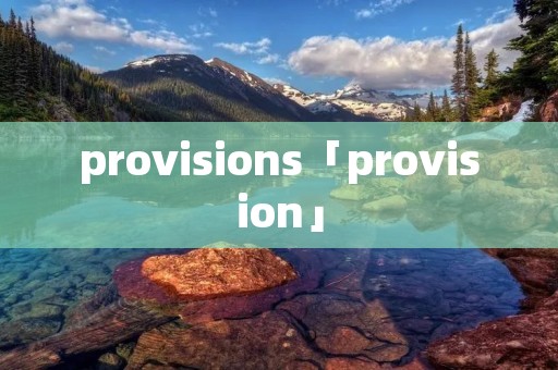 provisions「provision」 provisions「provision」