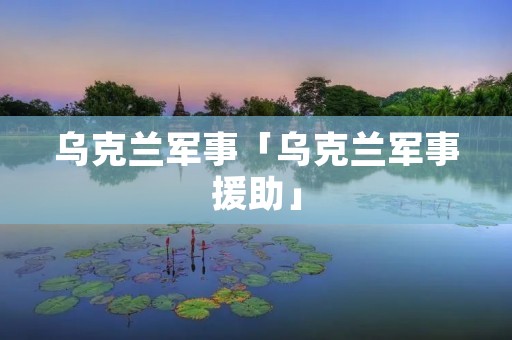乌克兰军事「乌克兰军事援助」