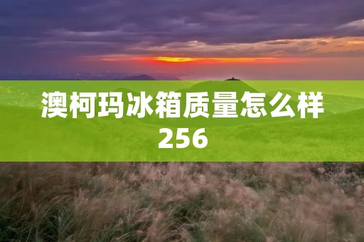 澳柯玛冰箱质量怎么样256：值得购买的品质之选