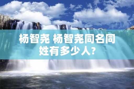 杨智尧 杨智尧同名同姓有多少人?