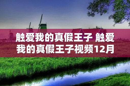 触爱我的真假王子 触爱我的真假王子视频12月31日