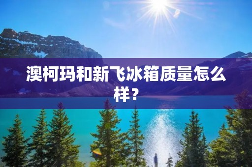 澳柯玛和新飞冰箱质量怎么样？