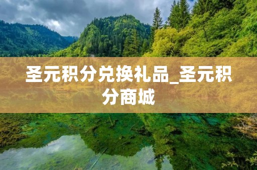 圣元积分兑换礼品_圣元积分商城