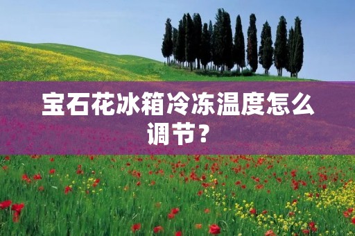 宝石花冰箱冷冻温度怎么调节? 宝石花冰箱冷冻温度怎么调节?