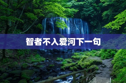 智者不入爱河下一句