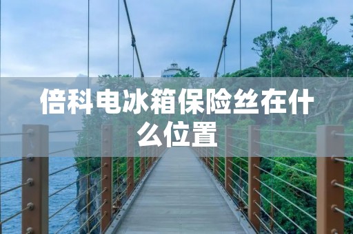 倍科电冰箱保险丝在什么位置 倍科电冰箱保险丝在什么位置