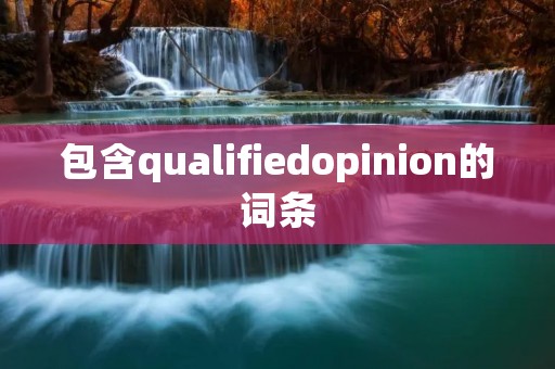 包含qualifiedopinion的词条