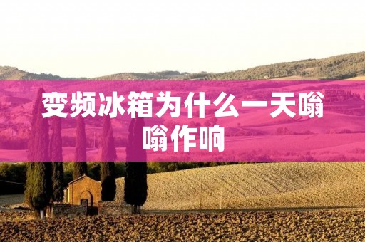 变频冰箱为什么一天嗡嗡作响 变频冰箱为什么一天嗡嗡作响