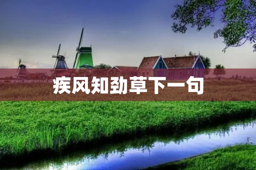 疾风知劲草下一句