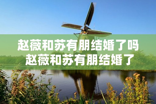 赵薇和苏有朋结婚了吗 赵薇和苏有朋结婚了吗是真的吗