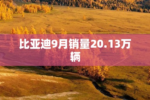 比亚迪9月销量20.13万辆：实力再次引领中国新能源汽车市场