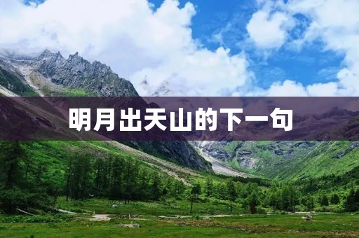 明月出天山的下一句