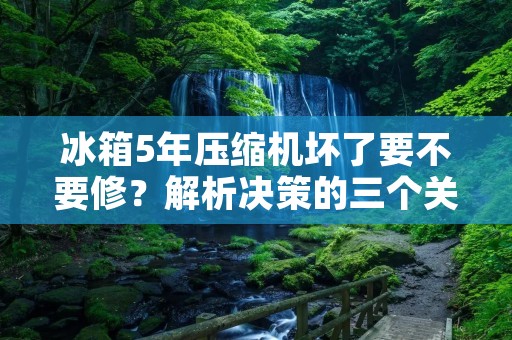 冰箱5年压缩机坏了要不要修？解析决策的三个关键因素